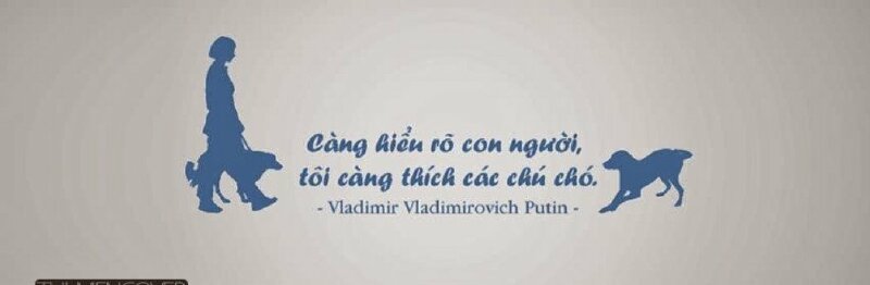 Ảnh bìa Facebook chất nhất về chó