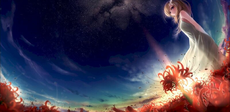 Ảnh bìa đứng giữa rừng hoa bỉ ngạn anime