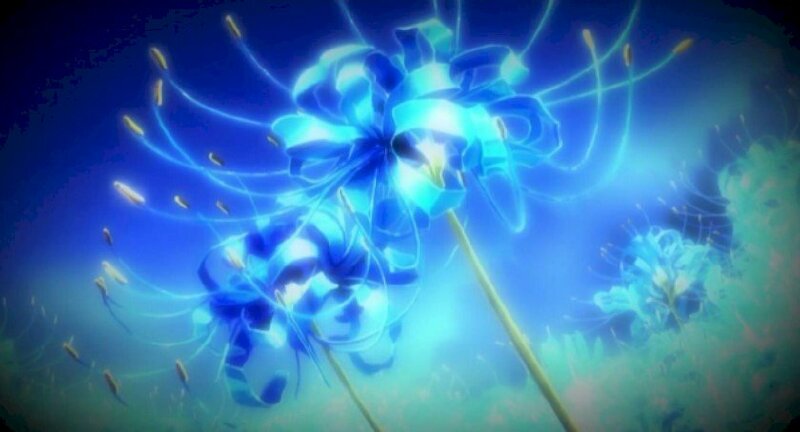 Ảnh bìa hoa bỉ ngạn xanh long lanh