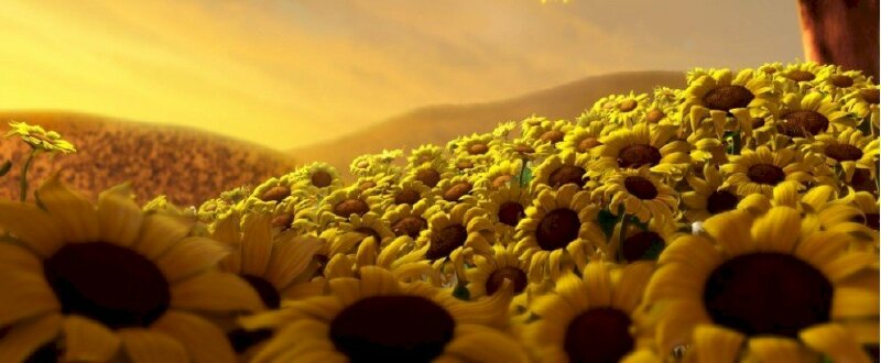 Ảnh bìa đồng hoa hướng dương 3D