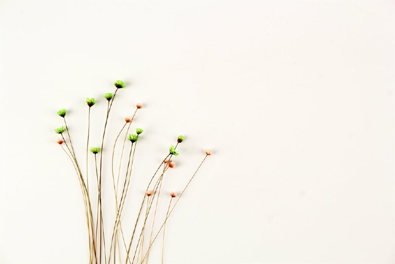 Chi tiết 98 ảnh bìa hoa đẹp cho facebook mới nhất  Tin Học Vui