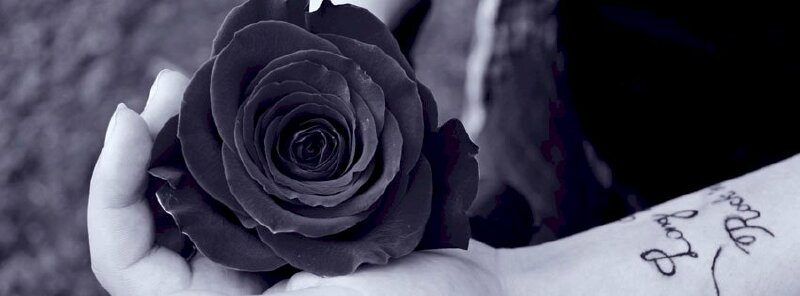 Bạn say mê vẻ đẹp thướt tha và lãng mạn của hoa hồng? Hãy ngắm qua ảnh bìa hoa hồng đẹp để thấy được sự hoàn hảo và tinh tế của công nghệ chụp ảnh ngày nay.
