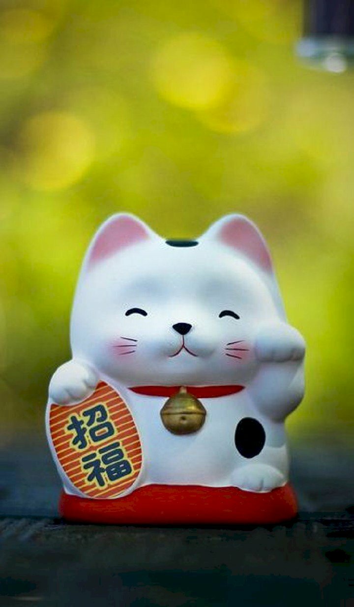 Sự tích ra đời của mèo thần tài Nhật Bản  Có thể bạn chưa biết