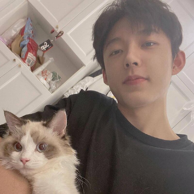Hình ảnh trai đẹp bế mèo cute