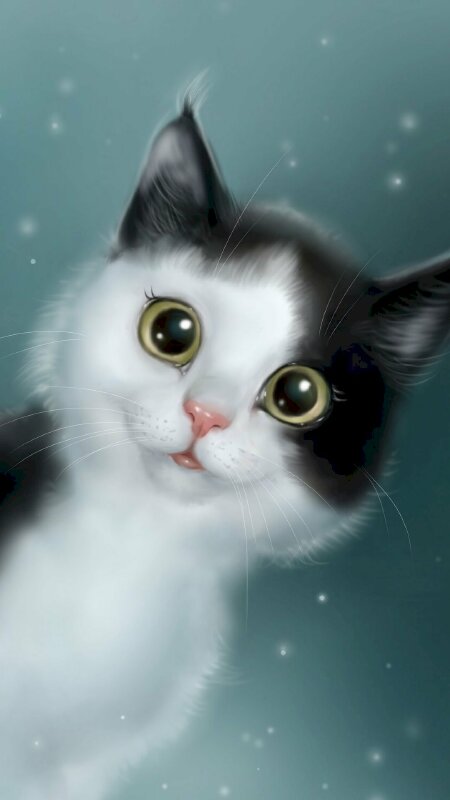 Hình Nền Mèo 3D Cute đẹp Nhất  Tải ảnh đẹp Free