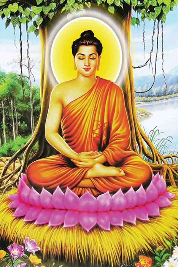 Hình nền điện thoại Phật Thích Ca ngồi dưới gốc cây bồ đề