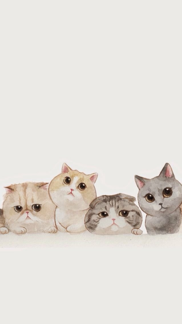 30 Hình Nền Mèo Cute Dùng Cho Cả Điện Thoại Và Máy Tính  ALONGWALKER