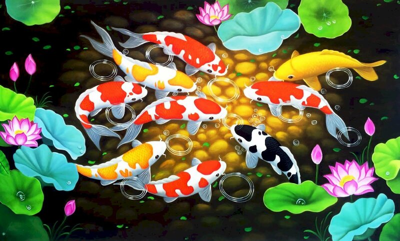 Top 101 hình ảnh cá chép đớp hoa sen đẹp nhất Top 101 Hình Ảnh Cá Chép Đớp Hoa Sen Đẹp Nhất