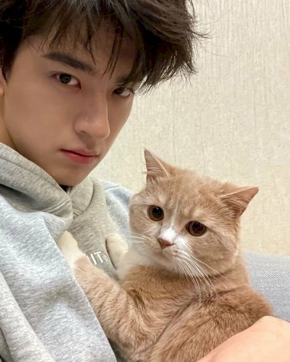 Hình ảnh trai đẹp TQ bế mèo