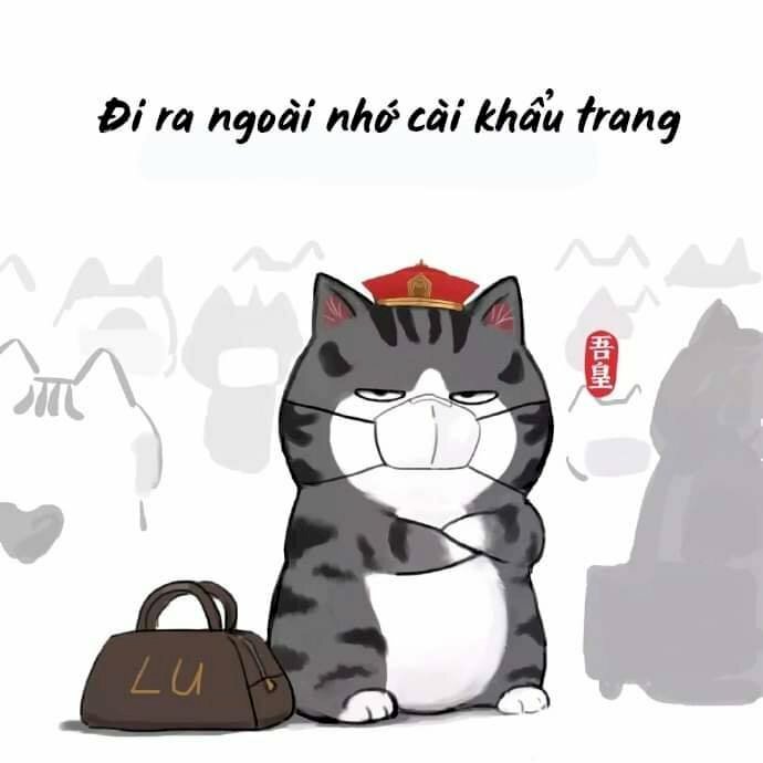 Hình ảnh mèo hoàng thượng anime đeo khẩu trang