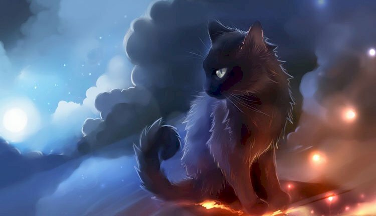 Hình ảnh mèo ngầu 3D