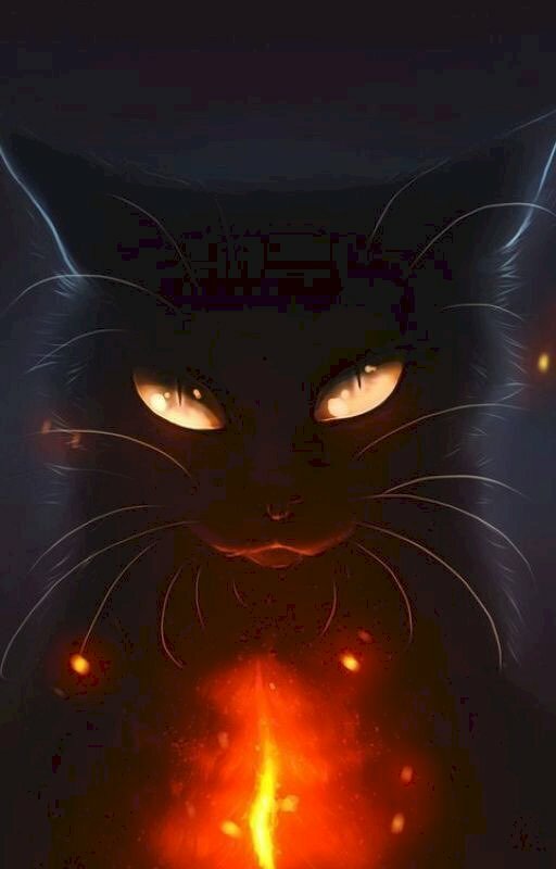 Hình ảnh mèo đen ngầu và ánh lửa