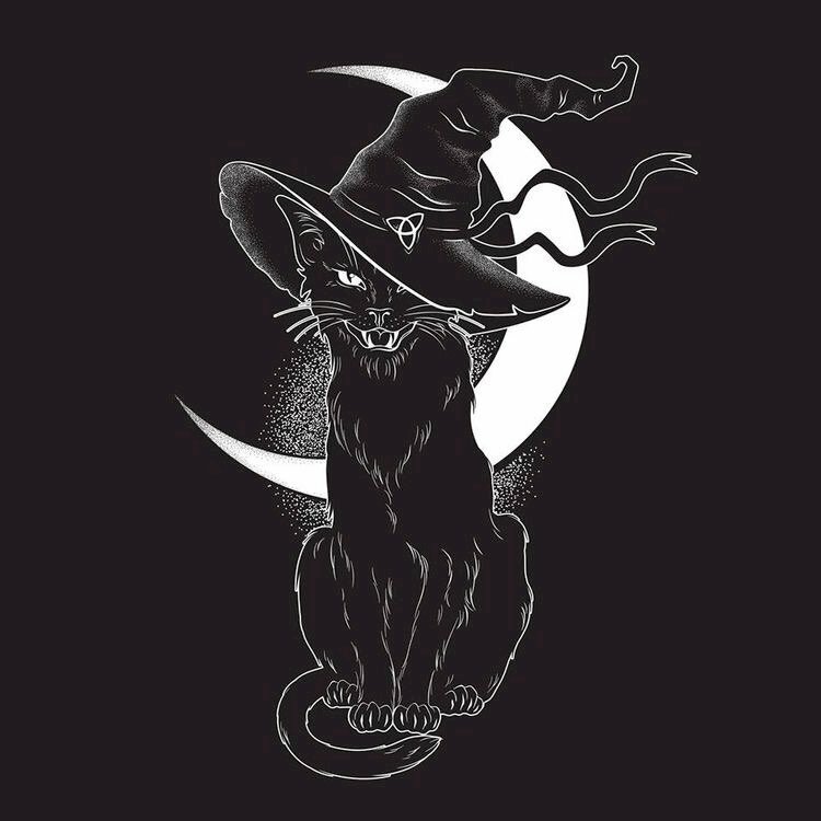 Hình ảnh mèo đen ngầu group nón
