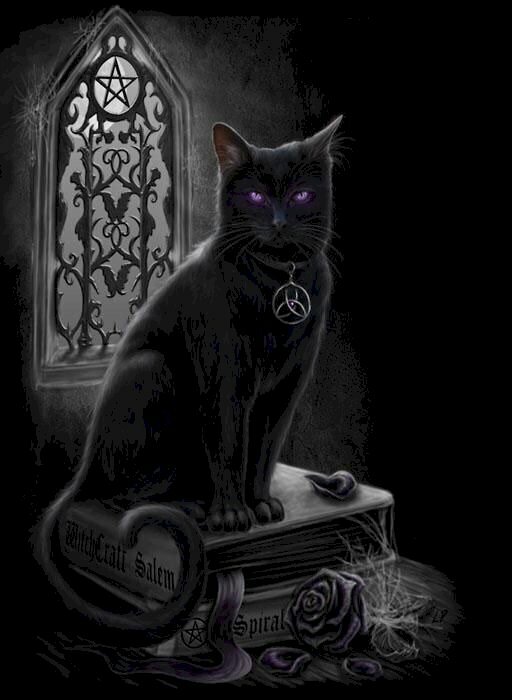 Hình ảnh mèo đen ngầu ngồi bên trên sách