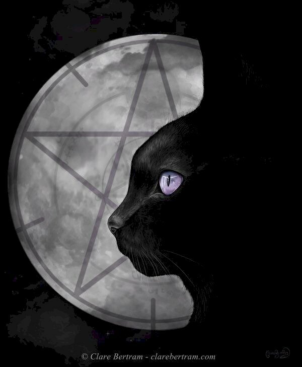Hình hình họa mèo đen sì dễ thương bên dưới ánh trăng