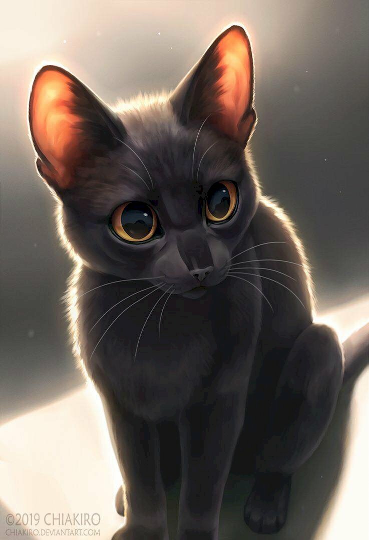 Hình hình họa mèo đen sì anime đẹp
