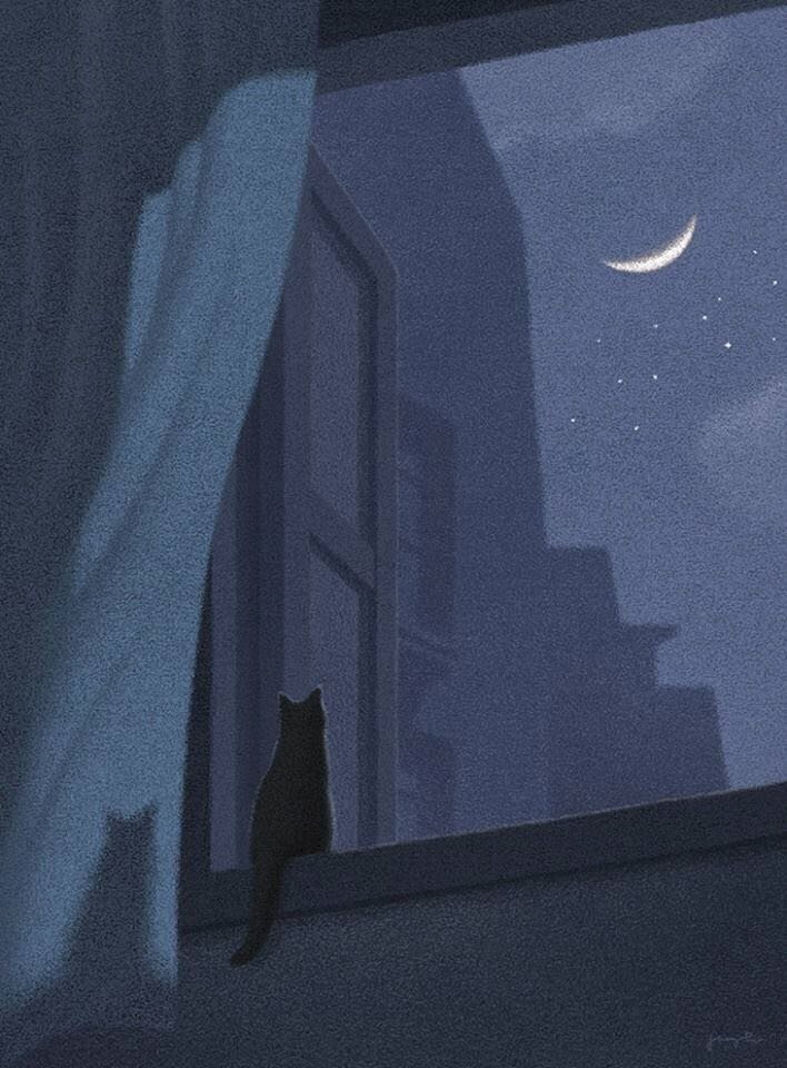 Hình hình họa mèo đen sì dễ thương ngồi bên trên bệ cửa ngõ sổ