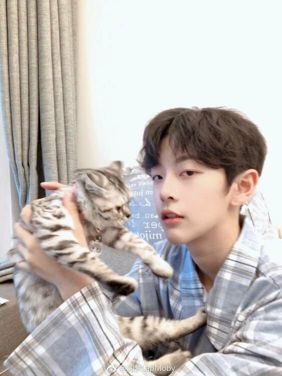 Hình ảnh trai đẹp bế mèo dễ thương