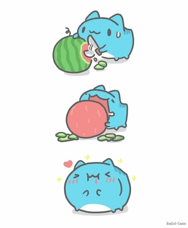 Hình ảnh siêu mèo Capoo ăn dưa hấu hài hước