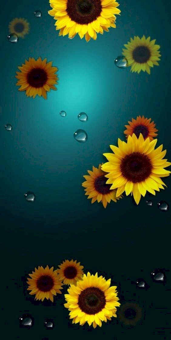 Ich habe dir 103 erstaunlichste Sonnenblumen-Desktop-Hintergründe von Thdonghoadian gesagt