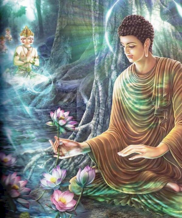 Bức ảnh hoa sen Phật giáo là một cách để thấy sự thanh lịch và sự trang nhã của Đạo Phật. Hãy xem những bức ảnh này để cảm nhận được sự tĩnh lặng và sự thanh tịnh từ trong tâm hồn mình.