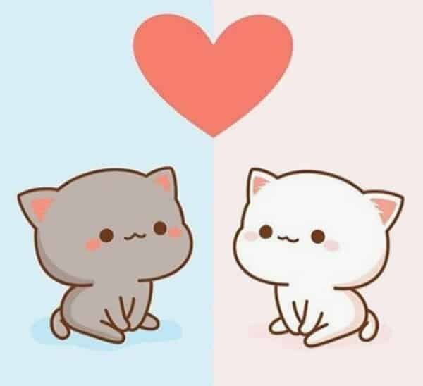 Top 91 về avatar đôi mèo cute  damrieduvn