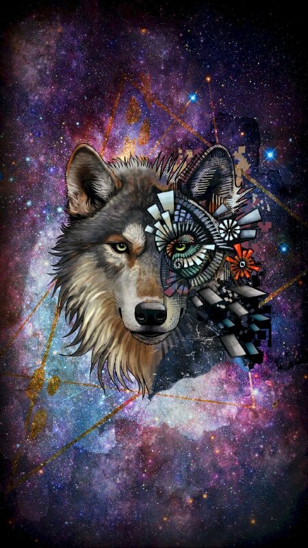 5 hình nền đẹp sói sẽ làm say lòng người yêu thiên nhiên