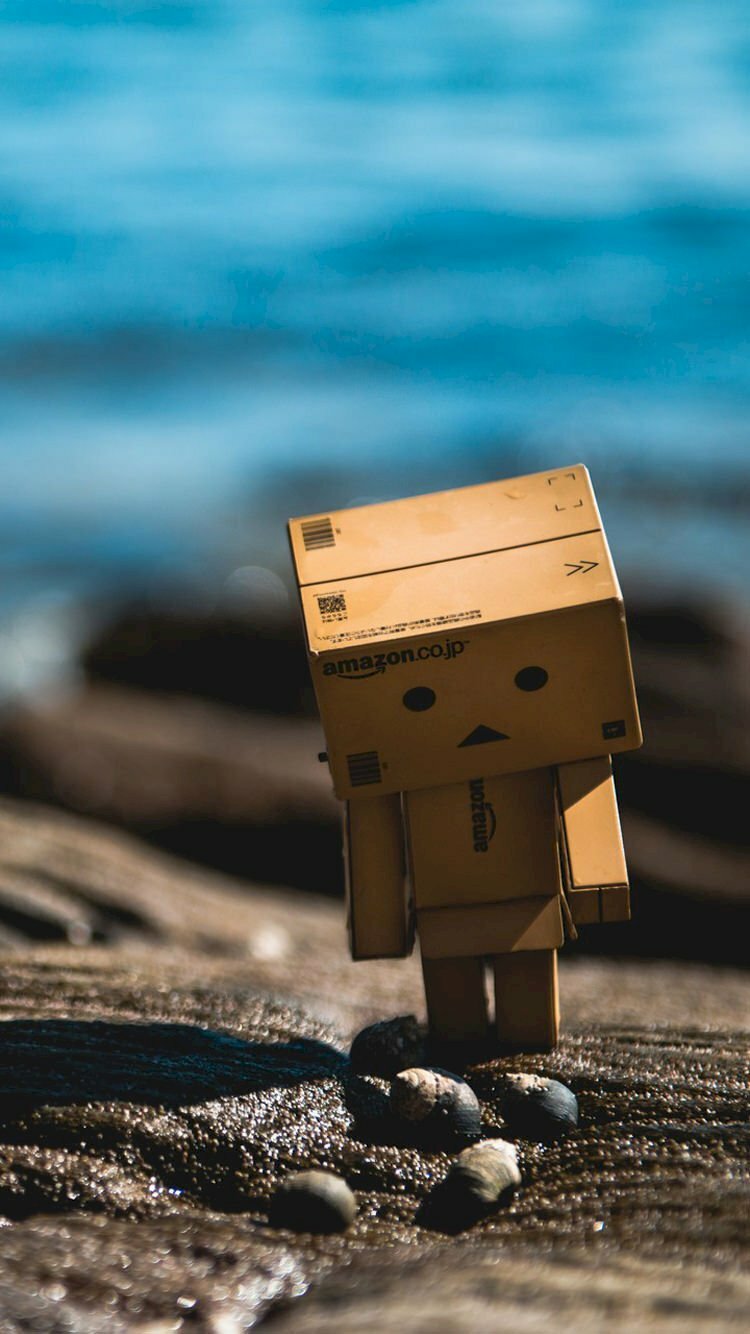 HÌNH ẢNH NGƯỜI HỘP GIẤY DANBO CỰC KUTE