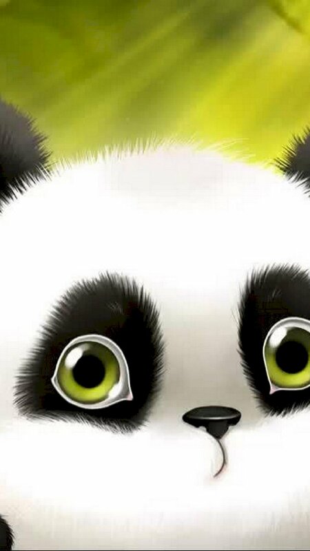 Yururin Panda  Hình vẽ dễ thương Gấu trúc Chibi