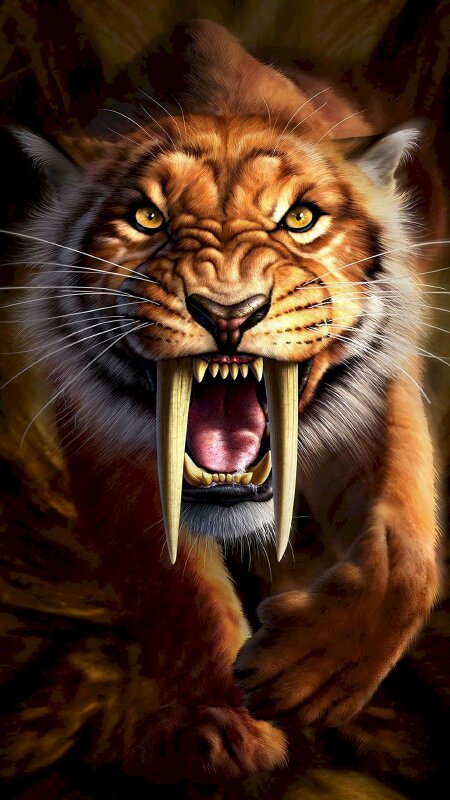 TOP 60 Hình ảnh hổ 3D đẹp siêu chất siêu ngầu đầy dũng mãnh thể hiện cá  tính mạnh mẽ 13  Wild animal wallpaper Tiger artwork Tiger art