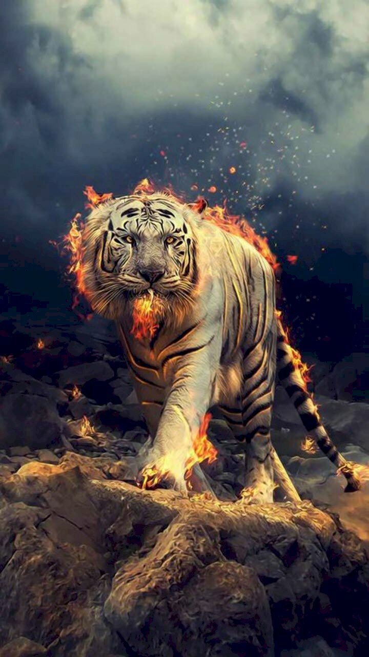 Những hình ảnh hình nền con hổ đẹp dũng mãnh nhất