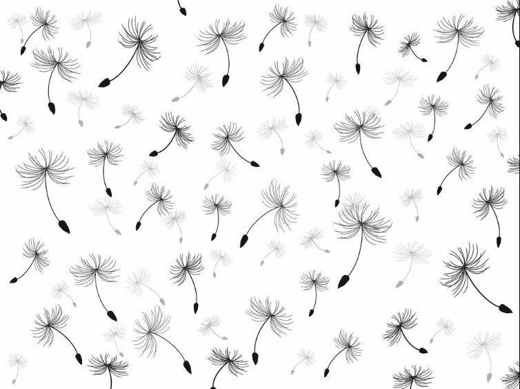 Hình nền hoa bồ công anh vẽ đơn giản