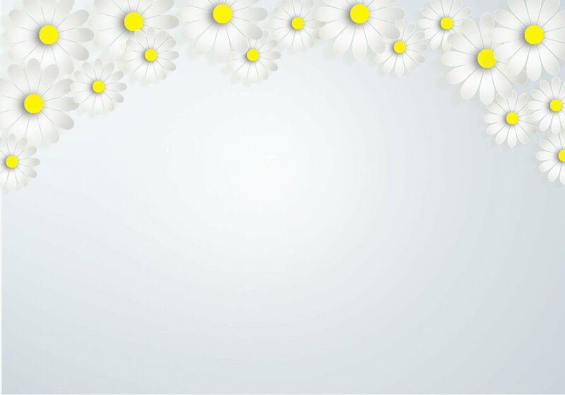 Hãy thăng hoa trước sự tươi vui của mùa hoa cúc, với hình nền hoa cúc tươi sáng và rực rỡ. Tận hưởng sự tươi mới của mùa xuân trên máy tính của bạn với những hình nền hoa cúc đẹp mắt.