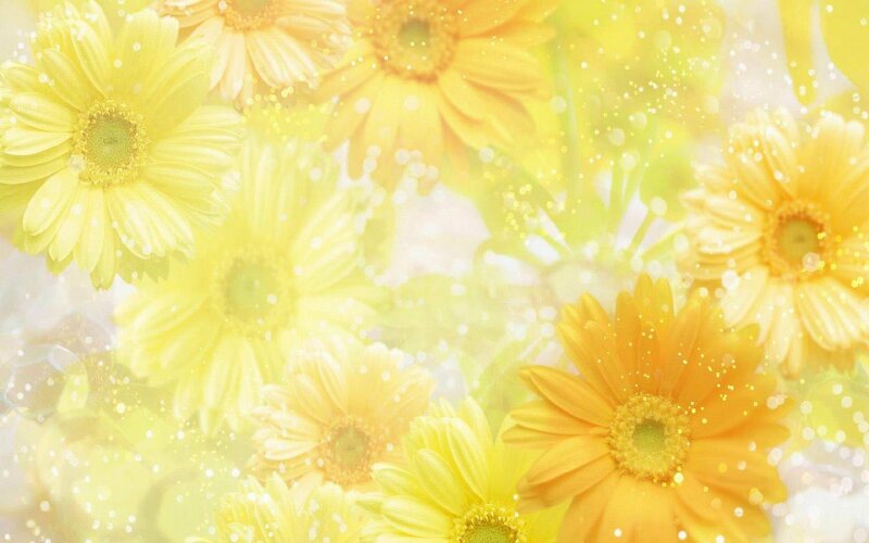 Hình nền hoa cúc đẹp sẽ khiến bạn say mê từ lần đầu tiên nhìn thấy. Với những bông hoa tươi tắn và màu sắc tuyệt đẹp, hình ảnh này sẽ mang đến sự yên bình và an lạc cho bạn. Bạn sẽ cảm thấy tinh thần thư giãn và đầy sức sống với hình nền hoa cúc đẹp này.