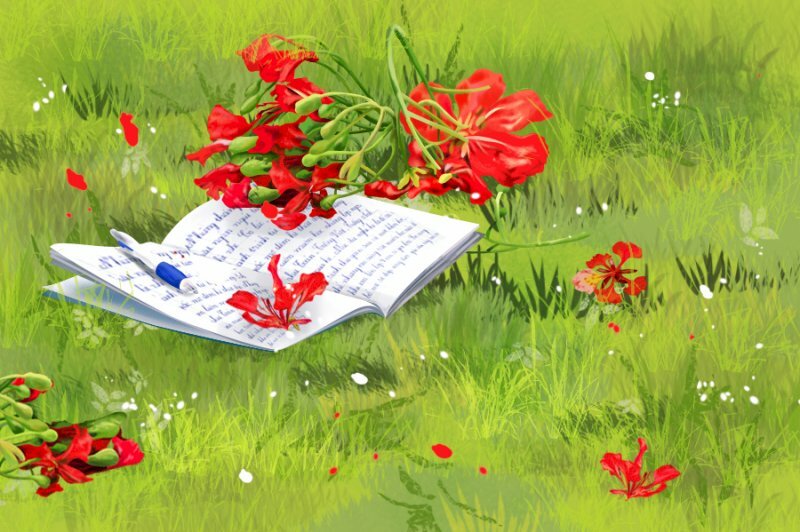 Hình nền hoa phượng và sách sẽ làm cho bạn cảm thấy thoải mái và thư giãn khi đọc sách hoặc làm việc. Với màu đỏ tươi cùng hình ảnh hoa phượng, bạn sẽ không còn cảm thấy đơn độc nữa. Bạn sẽ có tâm trí thư giãn để tập trung vào những việc quan trọng trong cuộc sống.