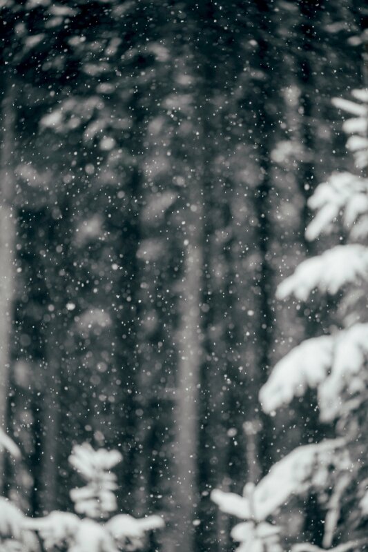 Mùa đông đang đến gần và bạn muốn tìm kiếm hình nền cho điện thoại để tạo không khí giáng sinh. Đừng bỏ qua tuyết rơi tuyệt đẹp và lãng mạn. META.vn cung cấp nhiều hình ảnh độc đáo về tuyết rơi sẵn sàng để bạn thưởng thức và sử dụng.