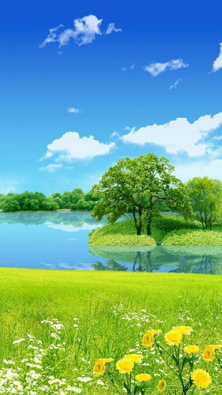 Nếu bạn đang muốn tìm một hình nền phong thủy đẹp và ý nghĩa cho điện thoại của mình, thì hãy tìm đến hình nền phong thủy mệnh Mộc. Với màu xanh tươi mát, hình ảnh cây cối tươi sinh và tài lộc thịnh vượng sẽ giúp bạn mang đến sự may mắn và cân bằng trong cuộc sống.