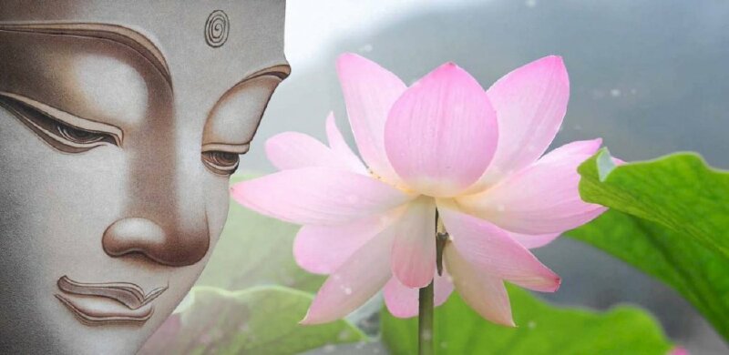 Hoa sen Phật giáo - Hãy chiêm ngưỡng vẻ đẹp tâm linh của hoa sen trong Phật giáo, mang lại sự thanh tịnh và bình an cho người xem.
