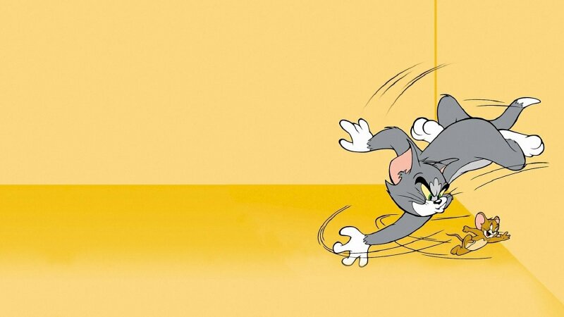 Hình ảnh mèo tom ngầu xua đuổi bắt loài chuột Jerry