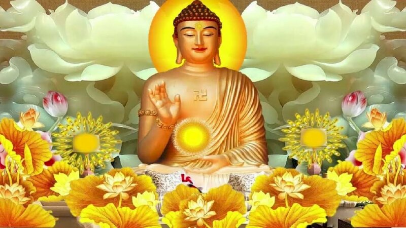 Hoa sen Phật giáo là biểu tượng trường tồn của tinh thần Phật giáo. Hãy chiêm ngưỡng hình ảnh hoa sen Phật giáo để được tận hưởng sự thanh tịnh và sáng suốt mà tâm hồn bạn mong muốn.