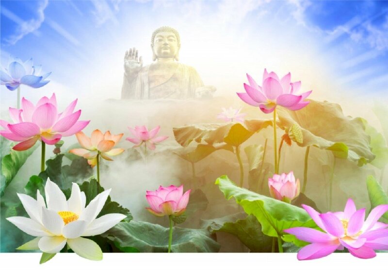 Chia Sẻ Nhiều Hơn 103 Hình Nền Hoa Sen Phật Giáo Hay Nhất - Tin Học Vui