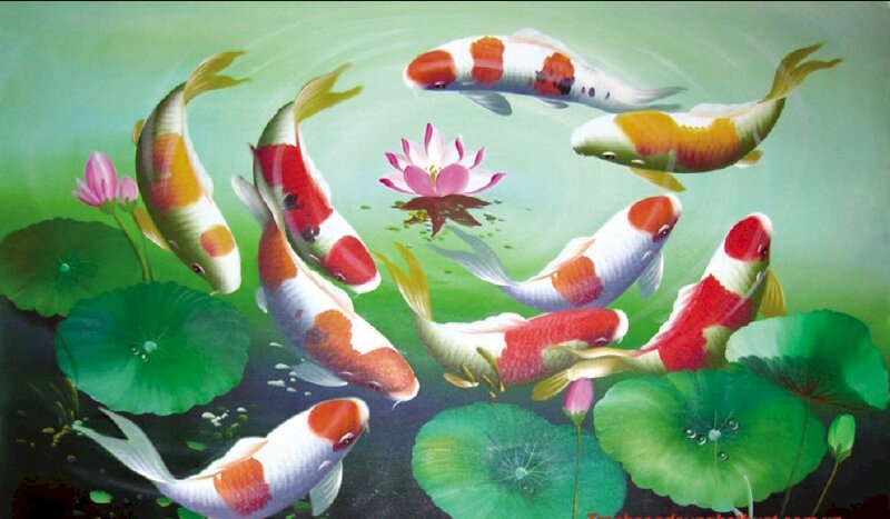 Hình ảnh tranh cá chép đớp hoa sen