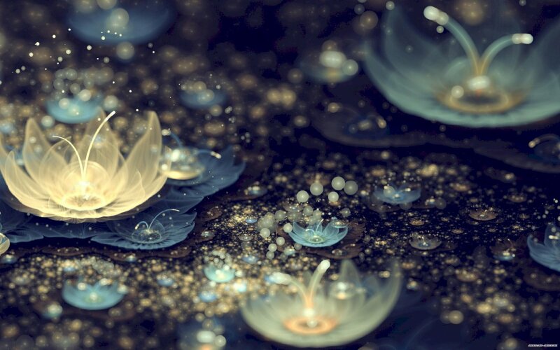 Hình ảnh hoa sen 3D chất ngầu