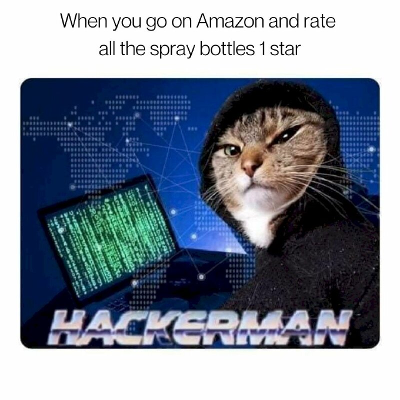 Hình ảnh meme mèo hacker mũ trùm đen