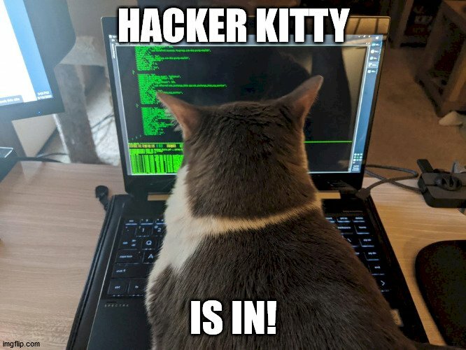 Hình ảnh mèo hacker ngầu lòi