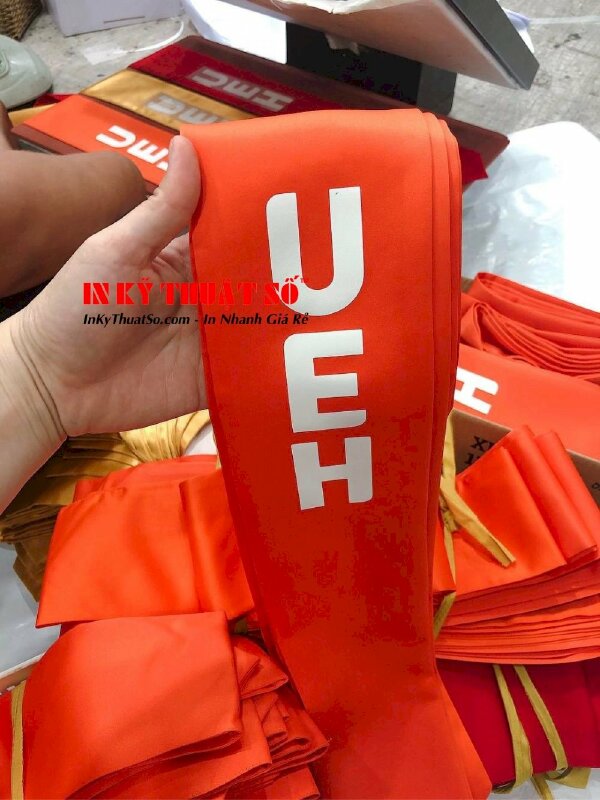 In decal PU ép lên vải - In Kỹ Thuật Số Since 2006 - Ảnh: 3