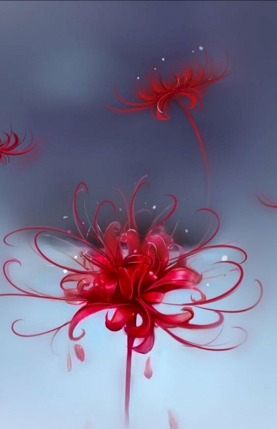 Hình nền hoa bỉ ngạn 3D tuyệt đẹp
