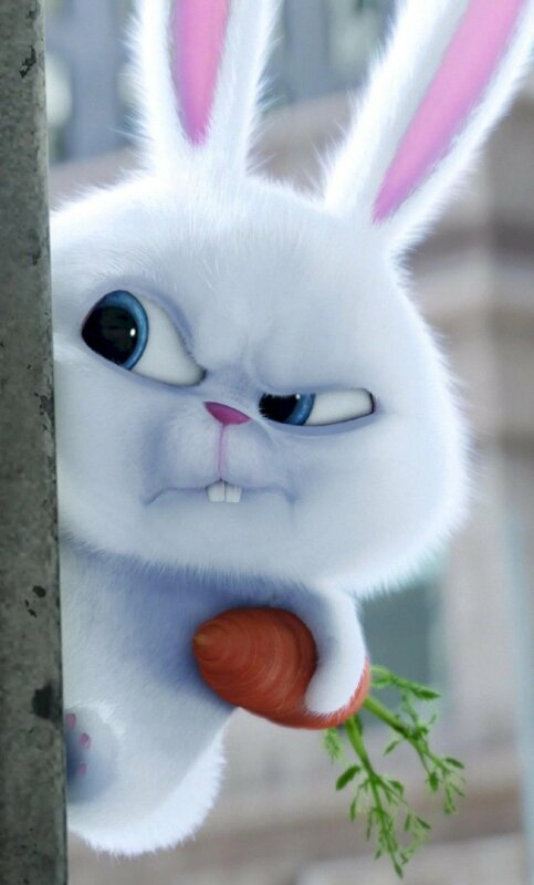 Bạn là fan của bộ phim \'The Secret Life of Pet\' và yêu mến nhân vật thỏ Snowball? Hãy xem qua bộ sưu tập hình nền điện thoại với từ khoá \'Hình nền điện thoại thỏ Snowball\' để tìm kiếm những hình ảnh sinh động và đáng yêu nhất của Snowball.