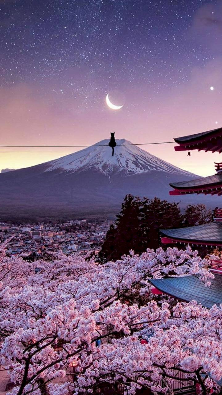 Hình nền núi Phú Sĩ dưới đêm trăng cho điện thoại