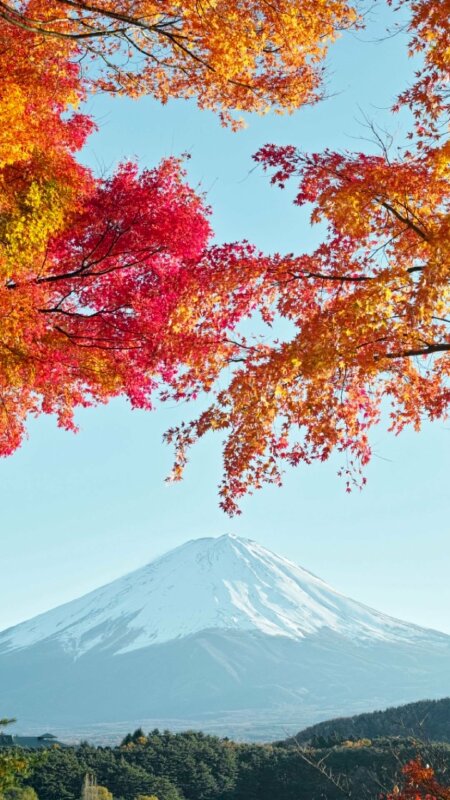 Hình ảnh núi Phú Sĩ biểu tượng của xứ sở Phù Tang cho điện thoại